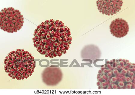 Stock Image - Hepatitis B Virus particles, illustration. Fotosearch