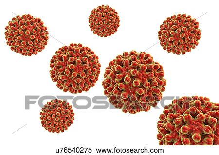 Stock Photography - Hepatitis B Virus particles, illustration. Fotosearch