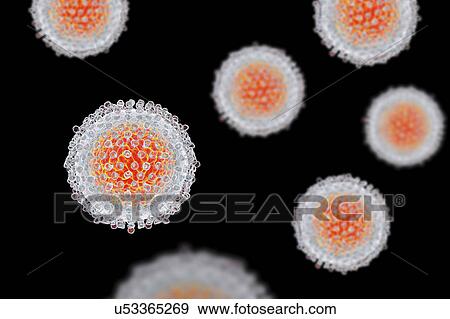 Hepatitis C Virus particles, illustration View Large Photo Image Stock Photo - Hepatitis C Virus particles, illustration. Fotosearch