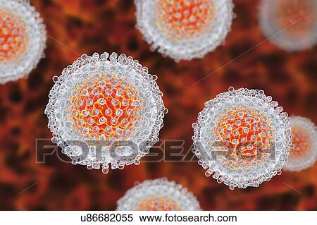 Hepatitis C Virus particles, illustration View Large Photo Image Stock Photography - Hepatitis C Virus particles, illustration. Fotosearch