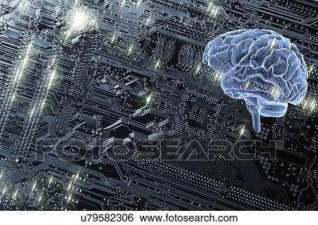 Human brain and circuit-board View Large Photo Image Stock Photograph - Human brain and circuit-board. Fotosearch