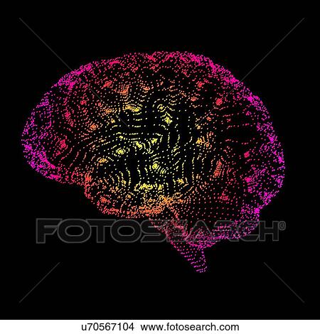 Human brain, conceptual artwork View Large Photo Image Picture - Human brain, conceptual artwork. Fotosearch