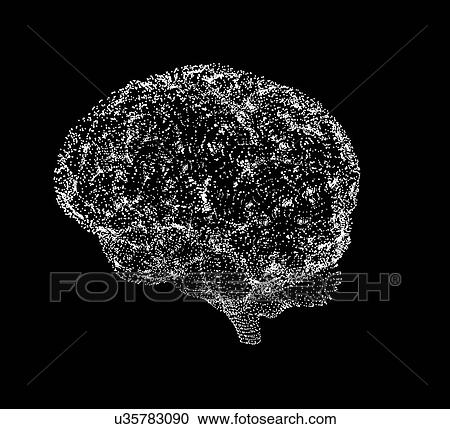Human brain, conceptual artwork View Large Photo Image Stock Image - Human brain, conceptual artwork. Fotosearch