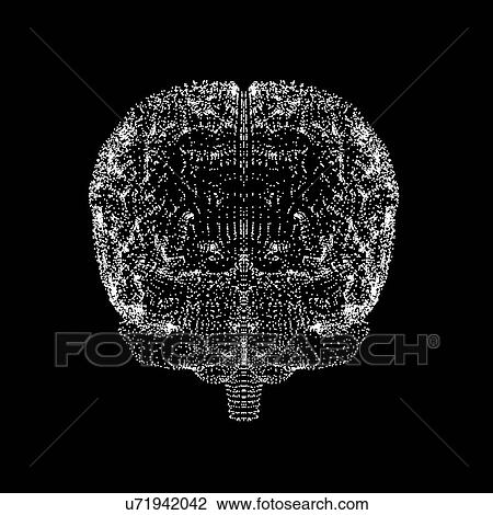Human brain, conceptual artwork View Large Photo Image Stock Image - Human brain, conceptual artwork. Fotosearch