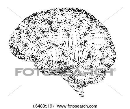 Human brain, conceptual artwork View Large Photo Image Stock Photo - Human brain, conceptual artwork. Fotosearch