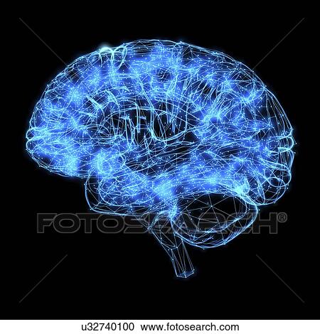 Stock Image - Human brain, illustration. Fotosearch