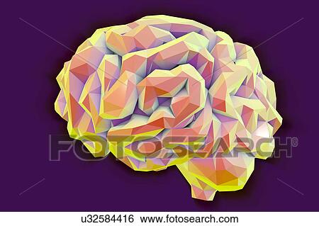 Human brain, low-polygonal illustration View Large Photo Image Stock Photograph - Human brain, low-polygonal illustration. Fotosearch