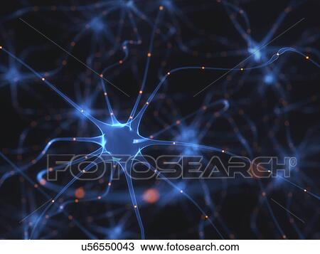Human brain nerve cells, illustration View Large Photo Image Stock Image - Human brain nerve cells, illustration. Fotosearch