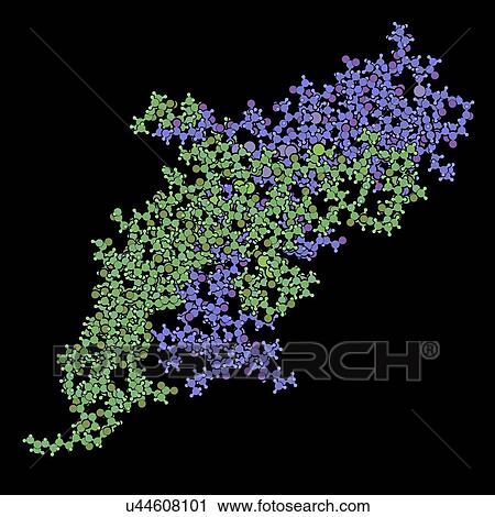 Stock Image - Human chorionic gonadotropin hormone molecule. Fotosearch