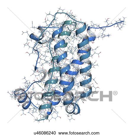Stock Image - Human growth hormone molecule. Fotosearch