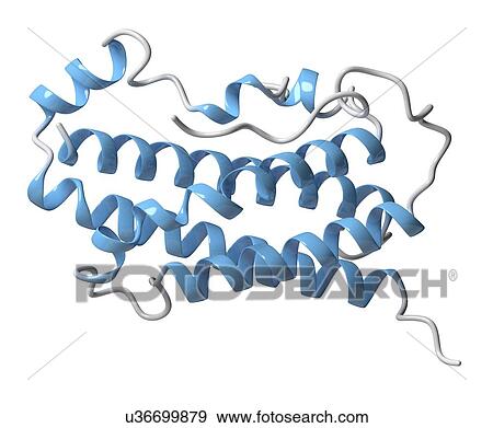 Human growth hormone molecule View Large Photo Image Stock Photo - Human growth hormone molecule. Fotosearch