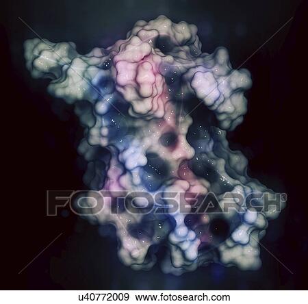 Human growth hormone molecule View Large Photo Image Stock Photo - Human growth hormone molecule. Fotosearch