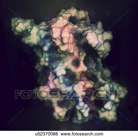 Human growth hormone molecule View Large Photo Image Stock Photo - Human growth hormone molecule. Fotosearch