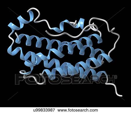 Stock Photo - Human growth hormone molecule. Fotosearch
