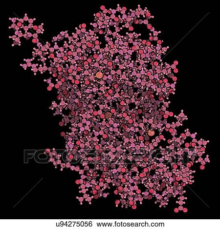 Human growth hormone molecule View Large Photo Image Stock Photograph - Human growth hormone molecule. Fotosearch