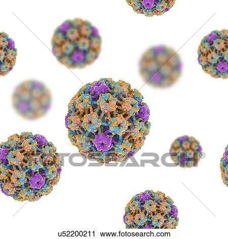 Stock Image - Human papilloma viruses, illustration. Fotosearch