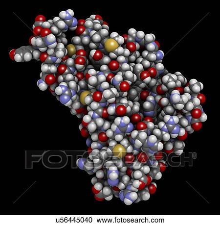 Stock Image - Human prion protein molecule. Fotosearch