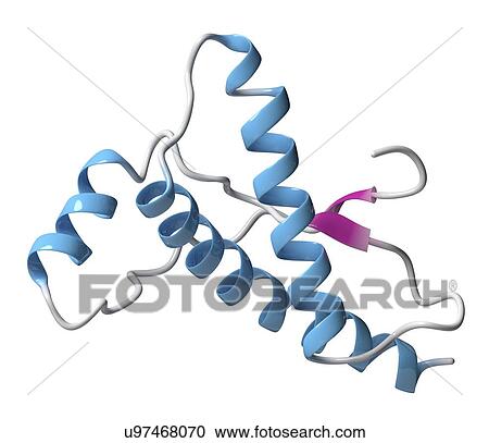 Stock Image - Human prion protein molecule. Fotosearch