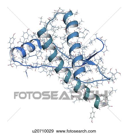 Human prion protein molecule View Large Photo Image Stock Photo - Human prion protein molecule. Fotosearch