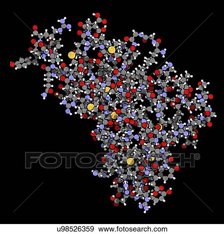 Stock Photo - Human prion protein molecule. Fotosearch