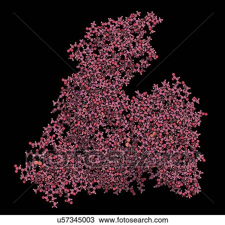 Stock Image - Human serum albumin molecule. Fotosearch