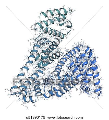 Human serum albumin molecule View Large Photo Image Stock Photography - Human serum albumin molecule. Fotosearch