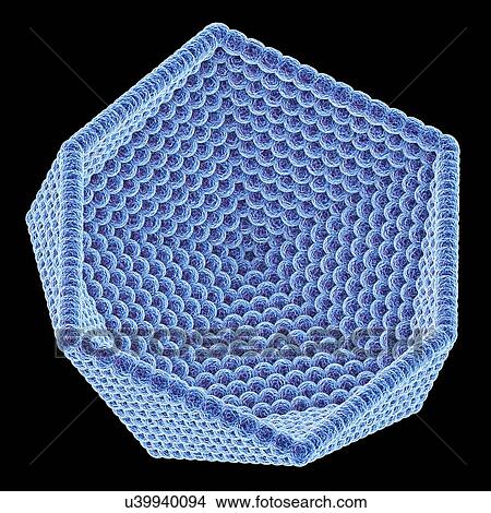 Picture - Icosahedral virus capsid, artwork. Fotosearch