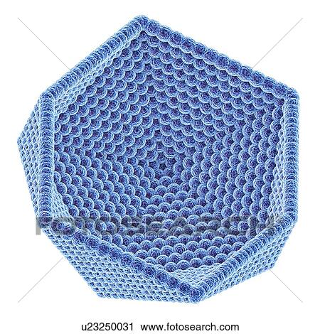 Stock Image - Icosahedral virus capsid, artwork. Fotosearch