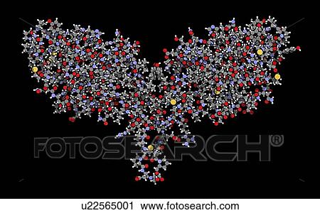 Stock Image - Immune checkpoint protein molecule. Fotosearch