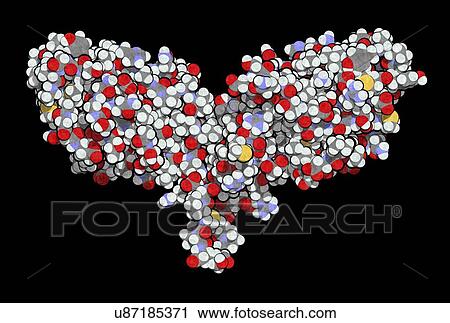 Stock Image - Immune checkpoint protein molecule. Fotosearch