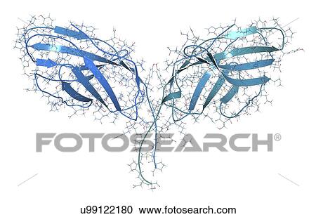 Stock Image - Immune checkpoint protein molecule. Fotosearch