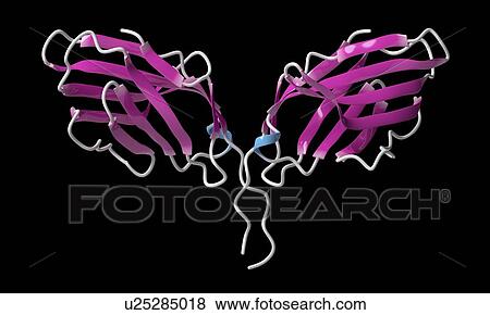 Stock Photo - Immune checkpoint protein molecule. Fotosearch