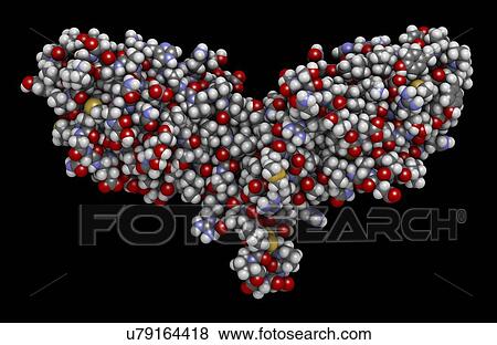 Stock Photo - Immune checkpoint protein molecule. Fotosearch