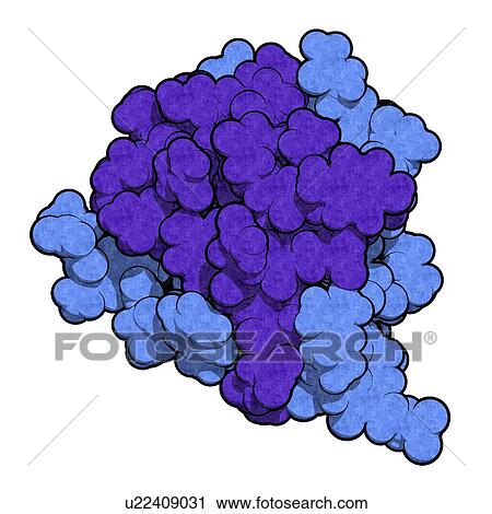 Stock Image - Insulin hormone molecule. Fotosearch