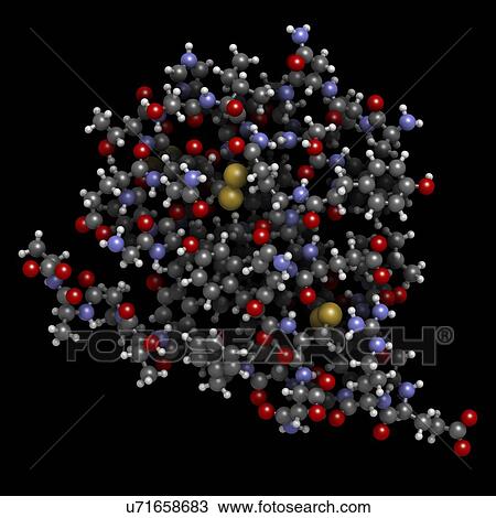 Stock Image - Insulin hormone molecule. Fotosearch