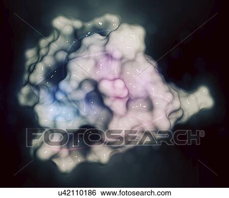 Stock Photograph - Insulin hormone molecule. Fotosearch
