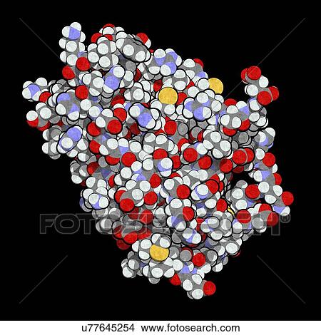 Picture - Interferon alpha 2a molecule. Fotosearch