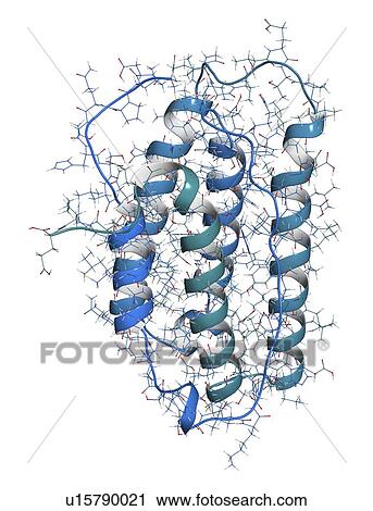 Stock Image - Interferon alpha 2a molecule. Fotosearch