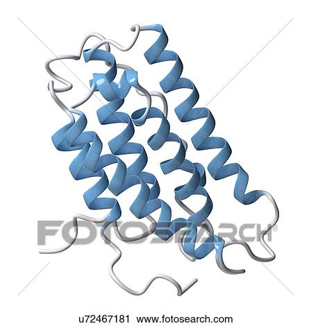 Stock Image - Interferon alpha 2a molecule. Fotosearch
