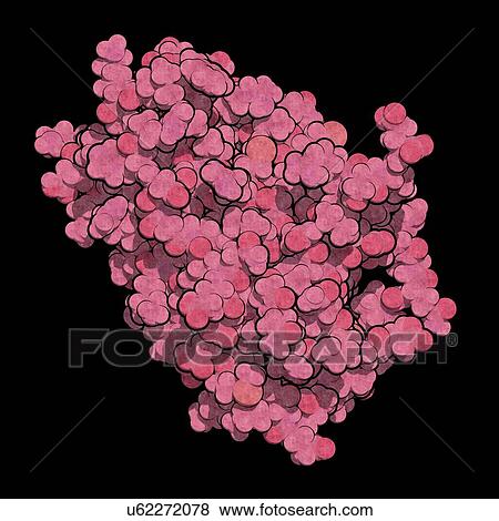 Stock Photo - Interferon alpha 2a molecule. Fotosearch