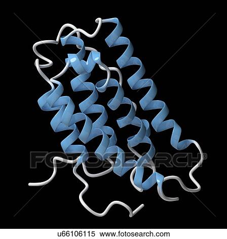 Stock Photography - Interferon alpha 2a molecule. Fotosearch