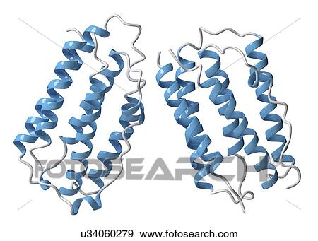 Interferon beta molecule View Large Photo Image Stock Photo - Interferon beta molecule. Fotosearch