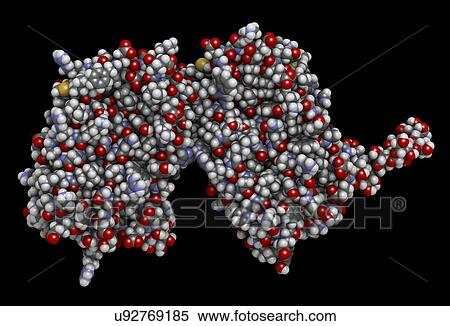 Stock Photography - Interferon beta molecule. Fotosearch