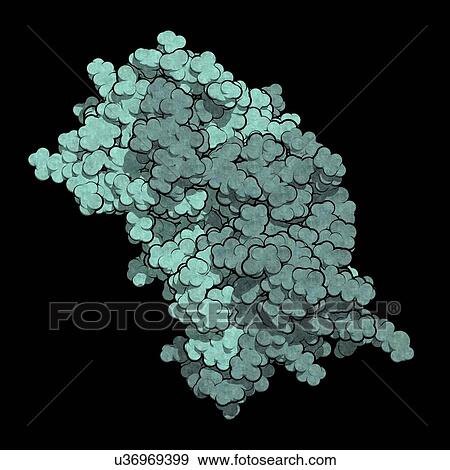 Interferon gamma molecule View Large Photo Image Stock Photo - Interferon gamma molecule. Fotosearch