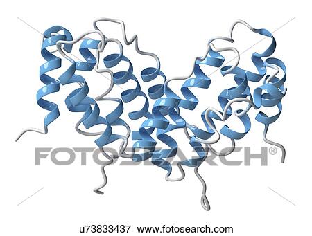 Interferon gamma molecule View Large Photo Image Stock Photo - Interferon gamma molecule. Fotosearch