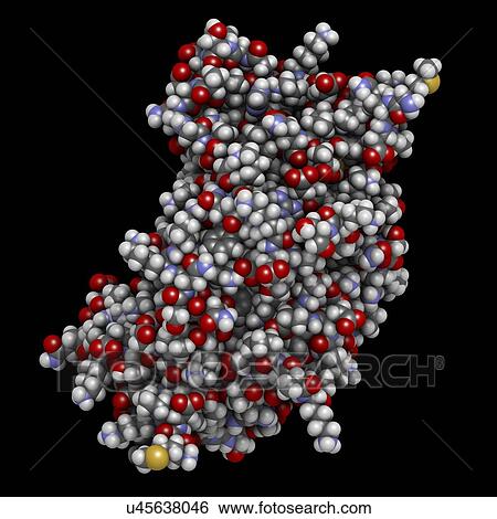 Interferon gamma molecule View Large Photo Image Stock Photograph - Interferon gamma molecule. Fotosearch