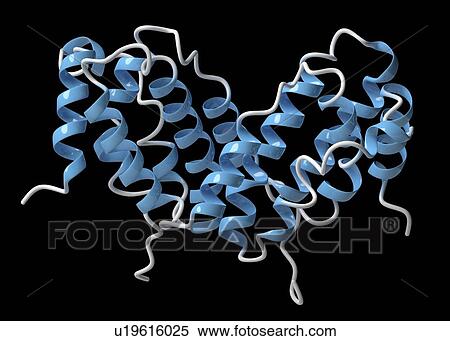 Interferon gamma molecule View Large Photo Image Stock Photography - Interferon gamma molecule. Fotosearch