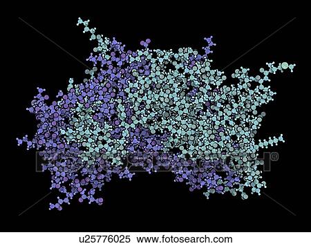 Stock Photography - Interferon gamma molecule. Fotosearch