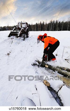 Stock Photo - Lumberjack cutting log with chainsaw in winter. Fotosearch