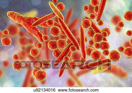 Stock Photograph - Mycoplasma bacteria, illustration. Fotosearch